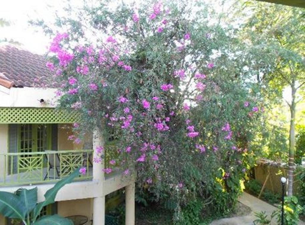 Sea Splash Resort Negril Exterior foto